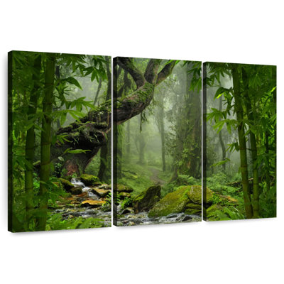 Alvord Ethereal Forest Trail