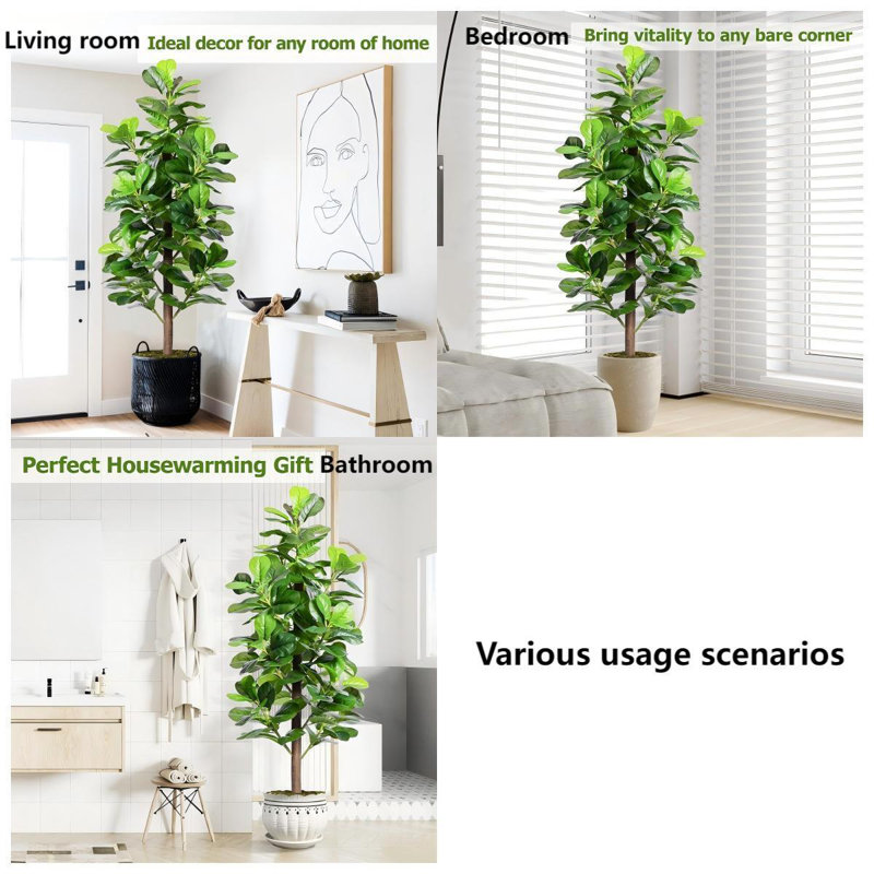 Figuier Forest Forest, H 59,06 po x l 19,69 po x P 19,69 po