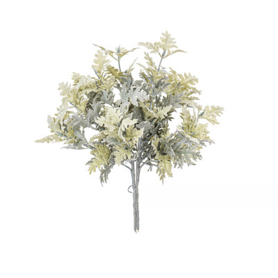 Dusty Miller Bush