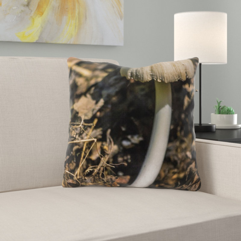 Coussin de jeté