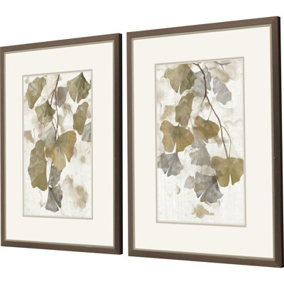 Gingko Accent S/2