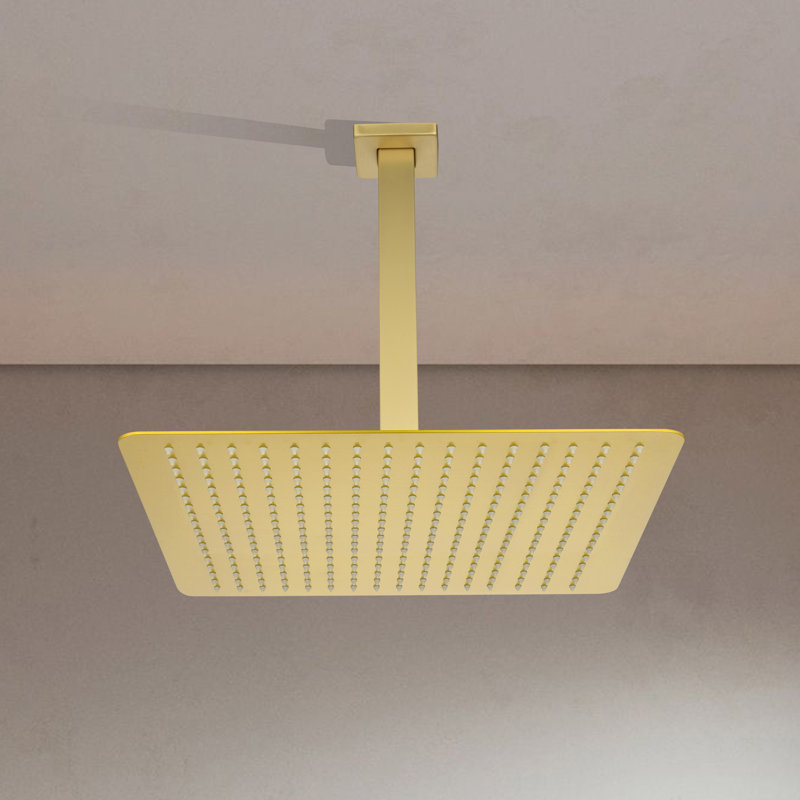 Rain Fixed Shower Head 2.5 GPM GPM with Self-Cleaning, Brushed Gold