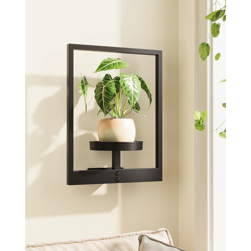 Porte-photos muraux décoratifs pour plantes d'intérieur