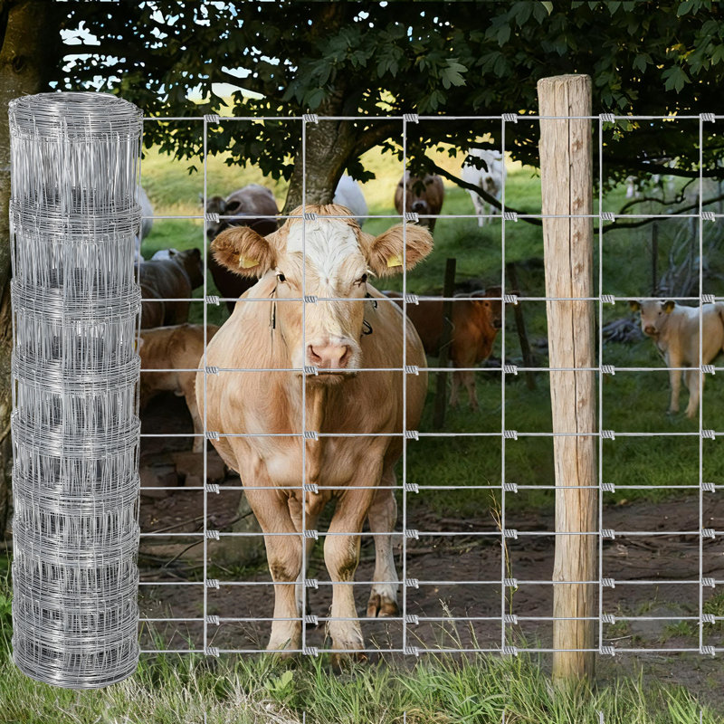 Clôture en fil de fer galvanisé, clôture de ferme de bovins, clôtures pour chevreuils, clôtures en zinc pour chèvre