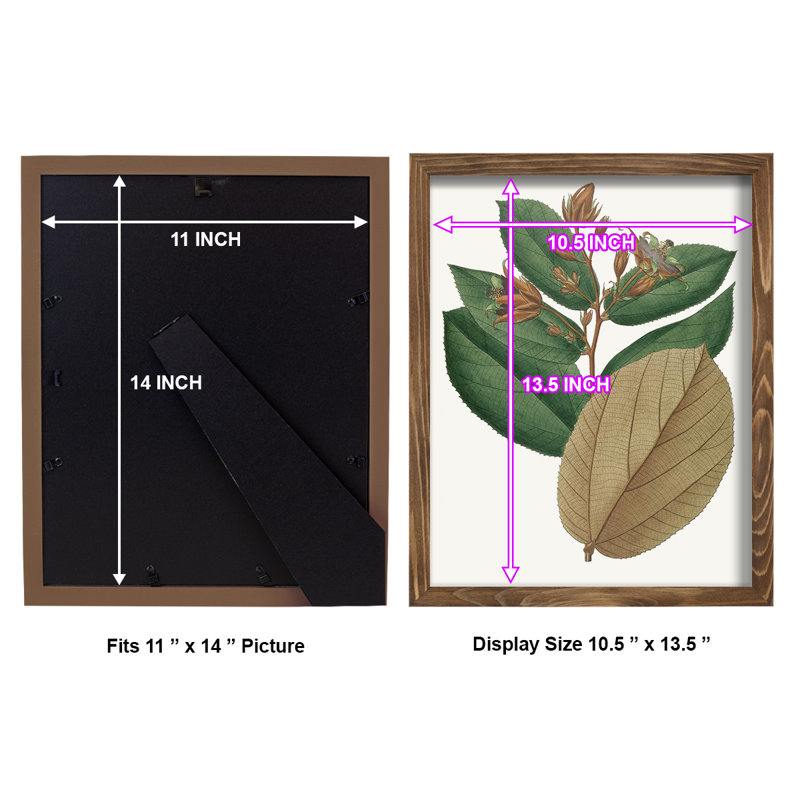 Fall Foliage III, reproduction d'art encadrée, H 15 po x l 12 po x P 1 po, Noyer
