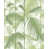 Olive Green/White