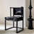 Black Solid back side Chair(Set of 2)