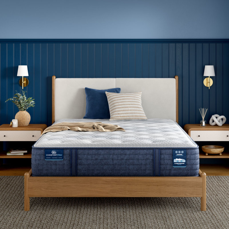iComfortPro Ambrose Plush 13" Mattress, Queen