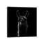 « llama », impression sur toile-29172289-72803162-72803164