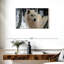 Loup arctique Brampt-108085546