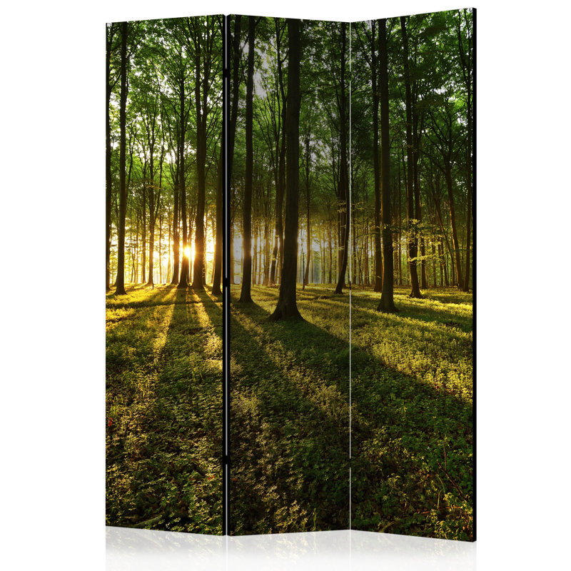 Ethel  Solid Wood Folding Room Divider, 3