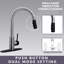 Dual Spray Push Button Mode Kitchen Faucet with Pull Down Sprayer Head-71198966