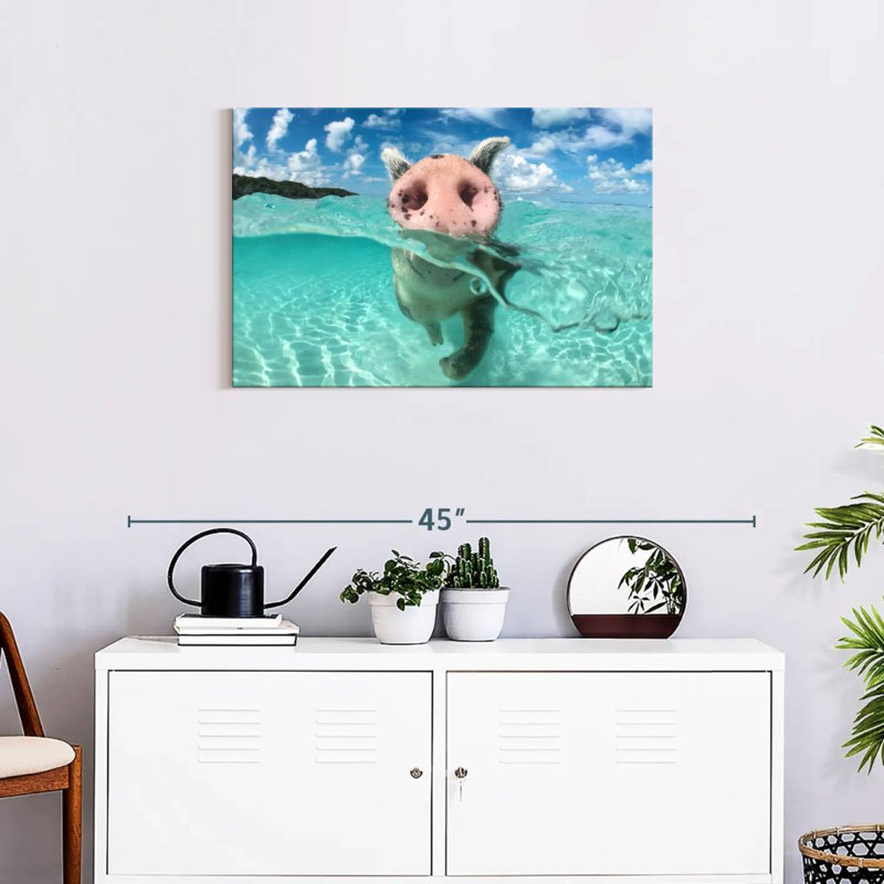 Cochon sauvage nageant Brampt