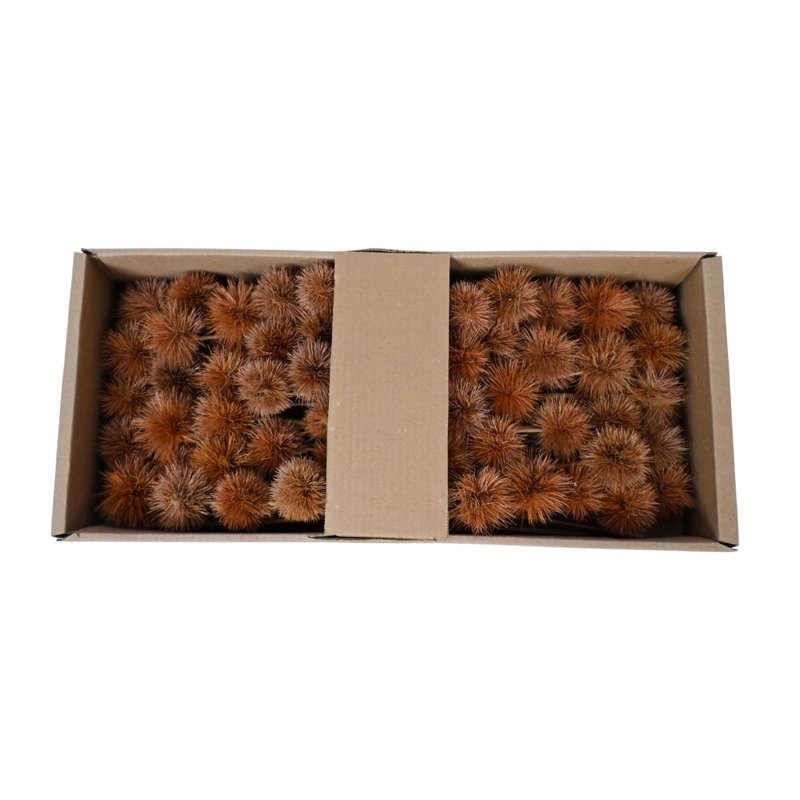 Kartoos On Stem 50Pc Tray