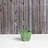 Alaunah Pot Planter-840690748-840690751