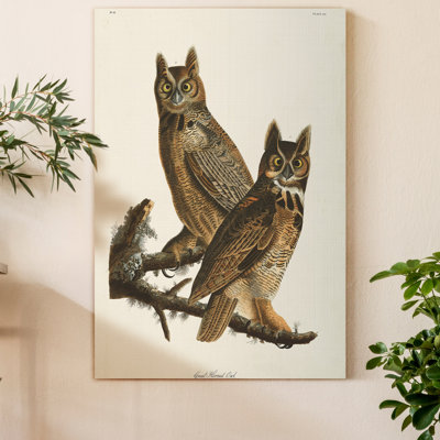 " Pl 61 Great Horned Owl " Painting Print