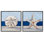 «Sea Life Starfish Seashell», peinture, plage, animal marin par Ethan Harper - ensemble de 2 peintures