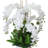 Polysilk Arrangement in Planter