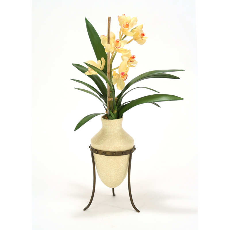 Orchidées cymbidium champagne dans un vase étrusque et un support en métal
