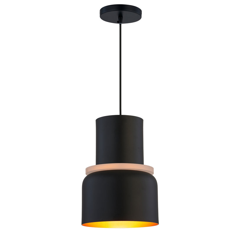 Luminaire suspendu moderne à 1 lumière Jocie