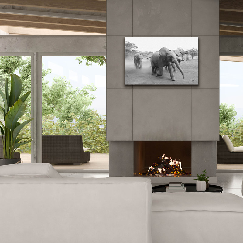 Art mural sur toile Epic Graffiti «Elephant Race Bw» par Max Blakesberg Studios, 40 po x 26 po, H 26 po x l 40 po