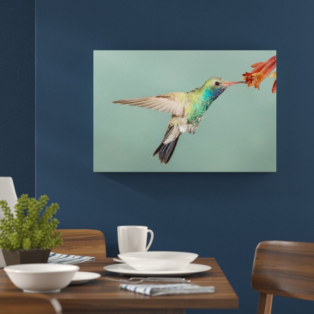 Leinwandbild ,,Bunter Kolibri", Fotodruck