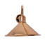 Goin Armed Sconce-1783423313
