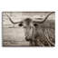 Epic Art «Woodgrain Antiques 02» par Gordon Semmens «Woodgrain Antiques 02» par Gordon Semmens-101651530