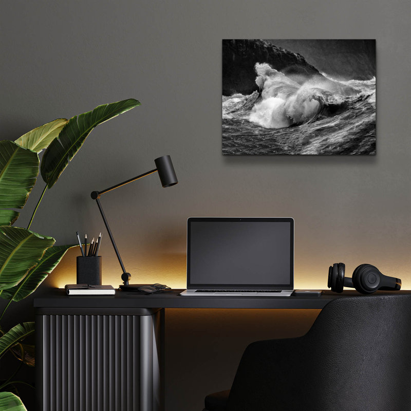  «Siren's Song 3 B&W» par Rick Berk, 16 po x 12 po