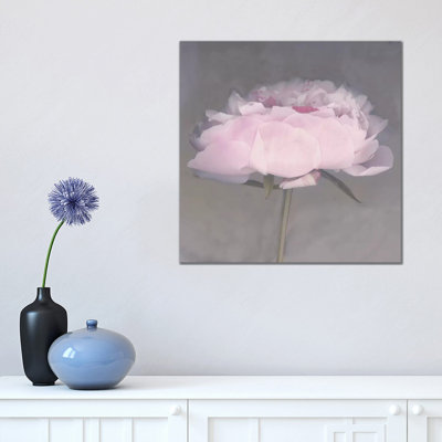 Jolie by Erin Clark - Print on Canvas