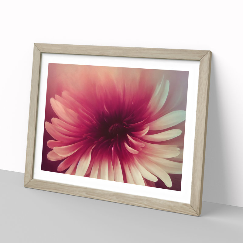 Cute Chrysanthemum Flower Vol.3 - Framed Print, 25cm H x 34cm W x 2cm D, Oak