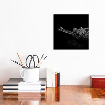Gavial In Black And White by Lukas Holas - Wrapped Canvas Print