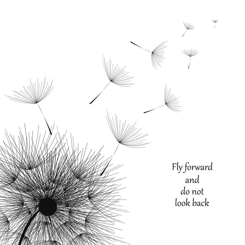 Dandelion by Smile3377 - Wrapped Canvas Print, 30cm H x 30cm W x 3.8cm D