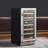 Wine Cooler 28 Bottle Dual Zone Mini Wine Fridge with Glass Door Temp Control