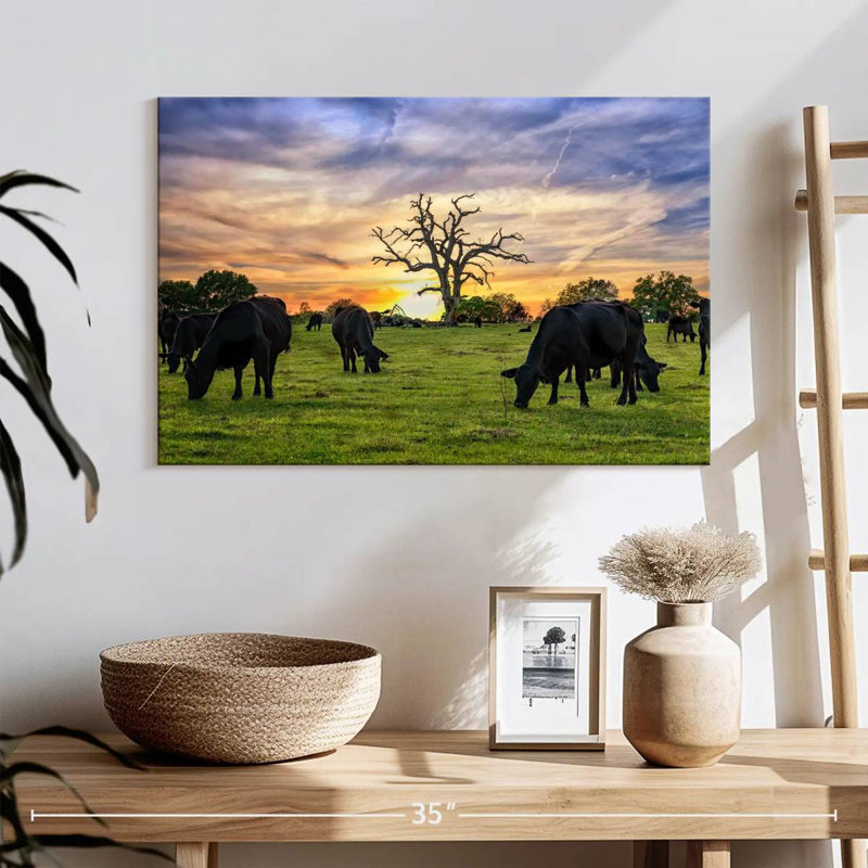 Brampt Grazing Aberdeen Angus, 16" H x 24" W