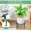 Plant Stand