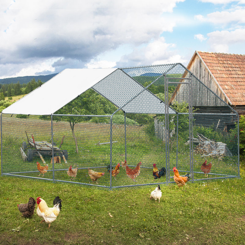 Emmeric Walk In Chicken Run, H 78 po x l 117 po x P 117 po, Argent