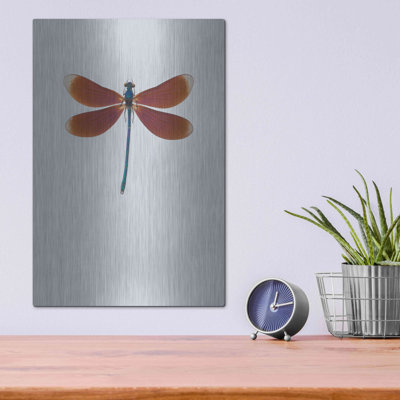 " Dragonfly II " by Incado
