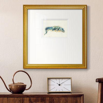 " Alligator "