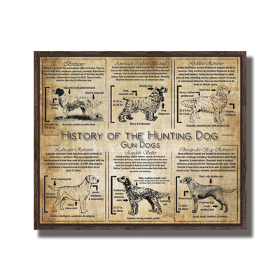 History of the Gun Dog - Breed Collage
