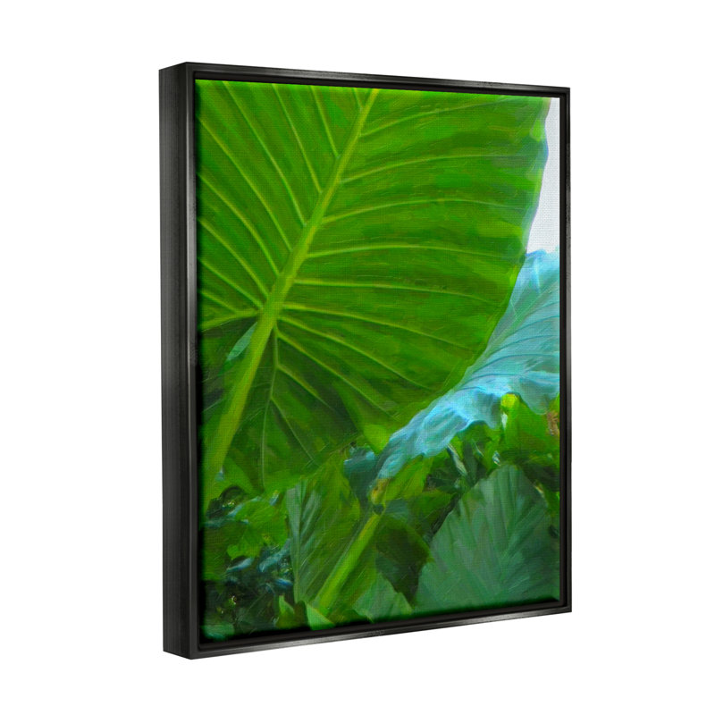 «Stupell Industries Green Palm Leaf», peinture sur toile par Graffi * Tee Studios, Cadre flottant noir de jais