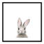 Art encadré en lapins forestières-48169567-48188935