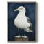 ANIMALS Series CECLV III, reproduction d'art encadrée - bois massif-122146811