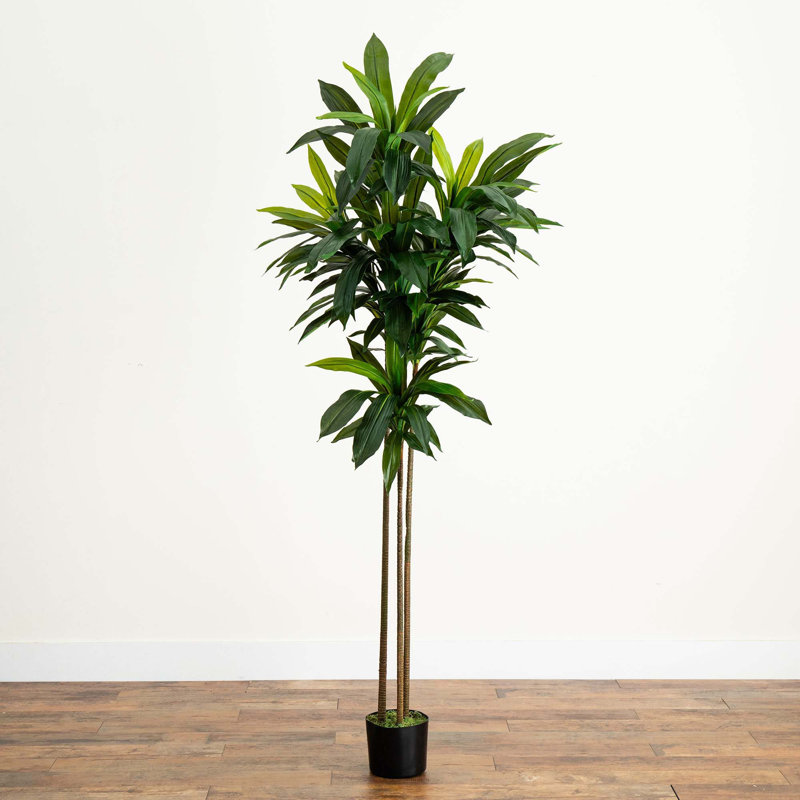 Faux arbre Dracaena 84 po