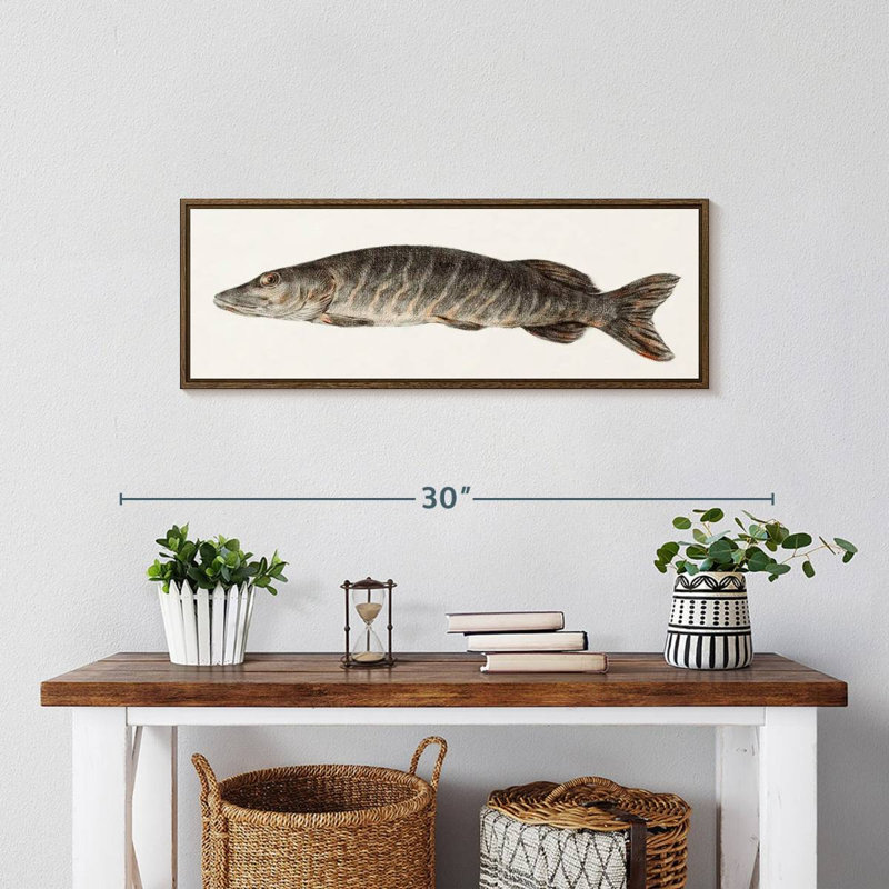 Brochet, 25" X 9", Floating Frame Walnut