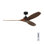 Collins 60" Smart Indoor/Outdoor Brushed Steel Ceiling Fan With Remote Control And Reversible Motor Works With Alexa, Google Home And Bond Home Action