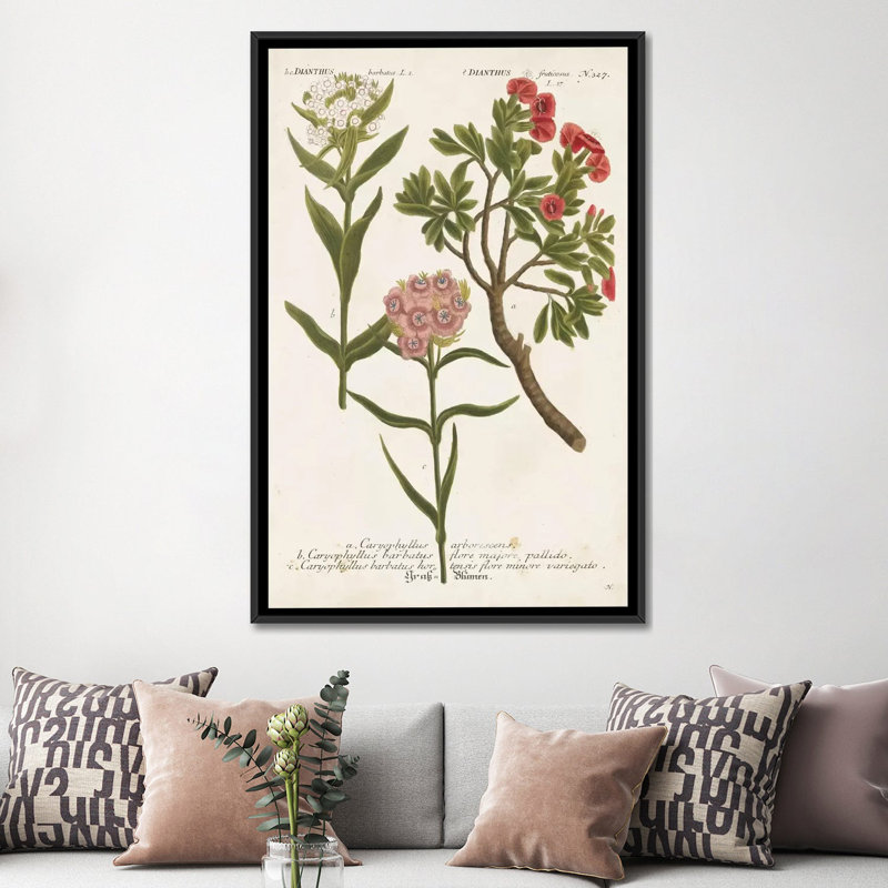 « botanique varietes iv », impression sur toile, H 60 po x l 40po x P 1,5 po, Toile avec cadre noir, Pas de tapis