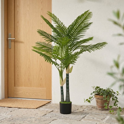 Plant