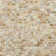 Baroque 0.25" X 0.75" Seashell Brick Joint Mosaic Wall Tile