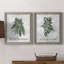 Sprig of Christmas Time - ensemble de 2 reproductions d'art graphique-269039313-269193907-269193909